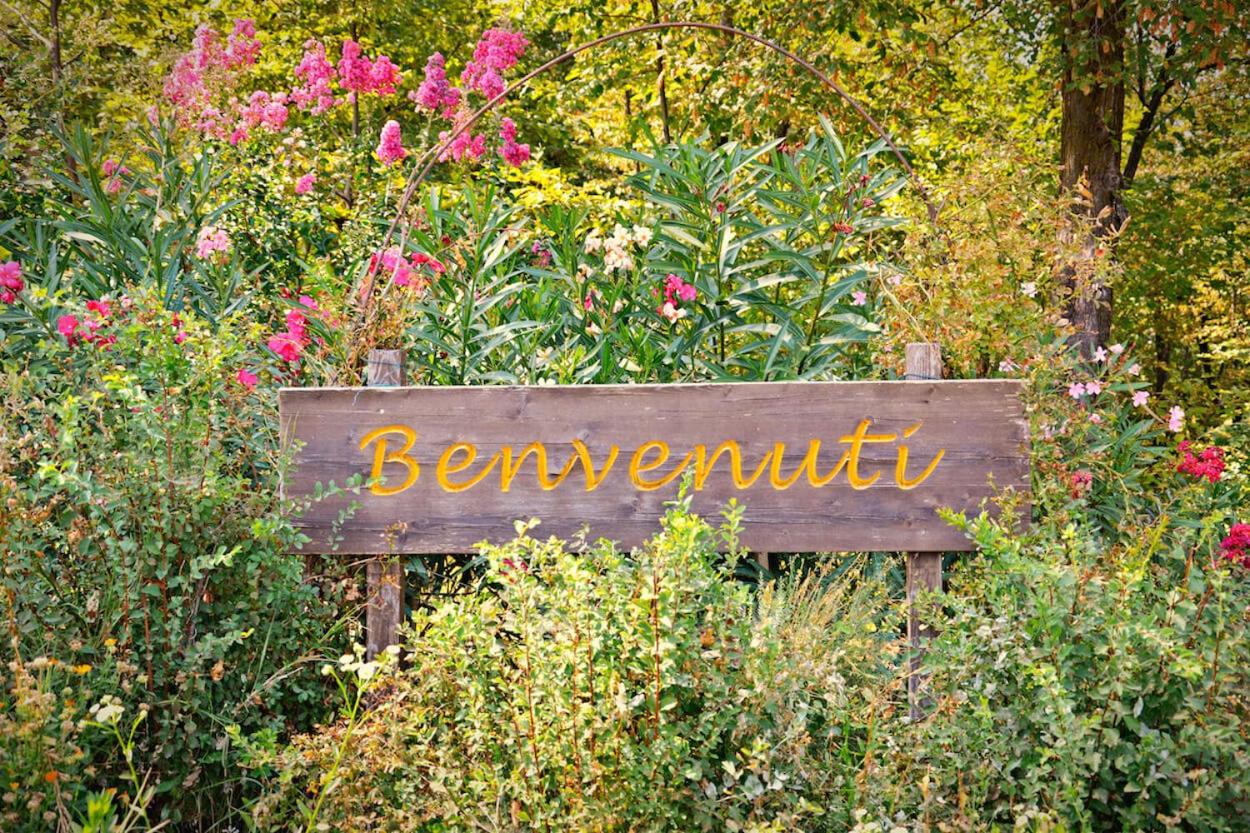 Agriturismo il Porcellino