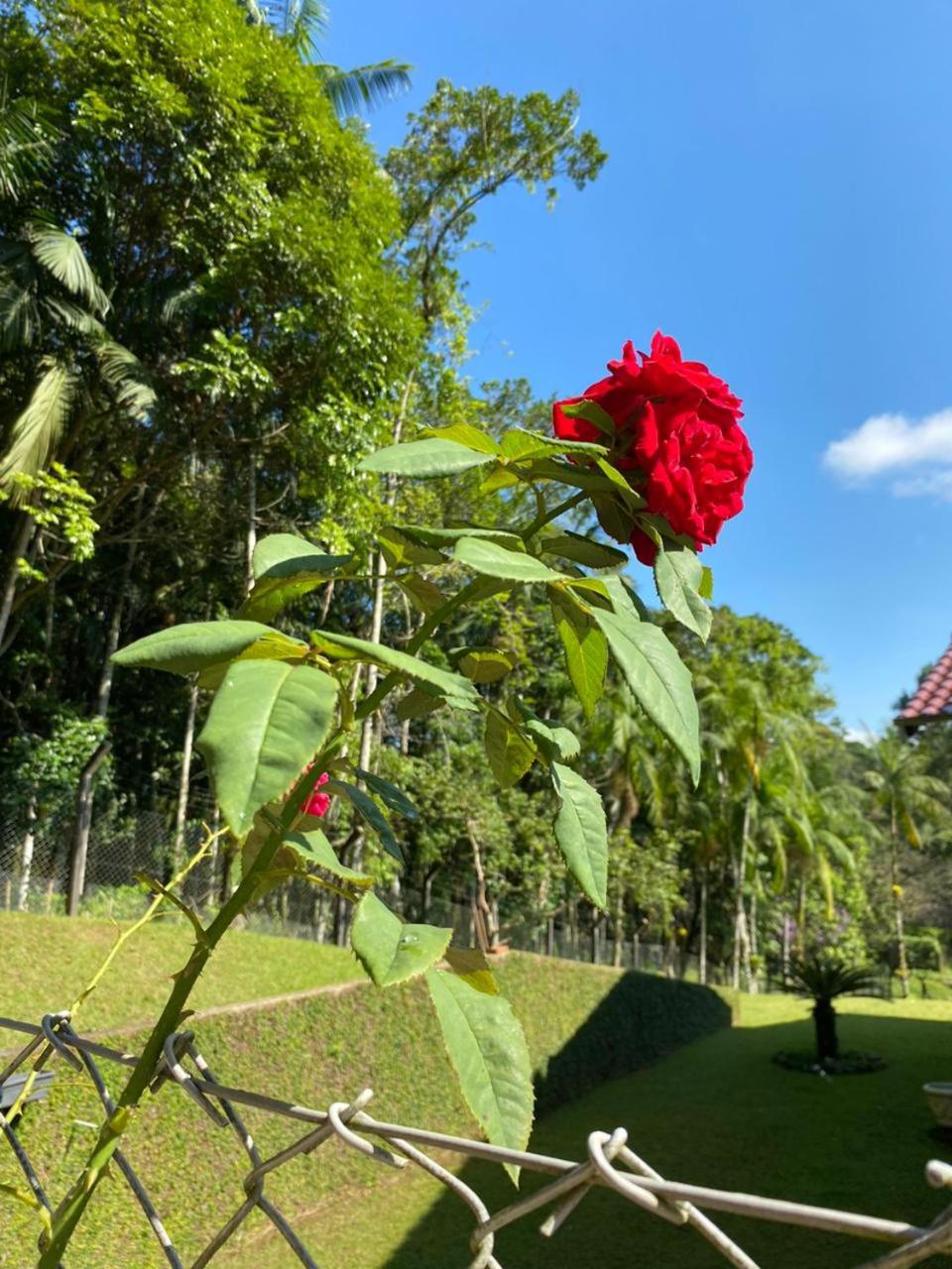 Casa Terapêutica Mãe Natureza