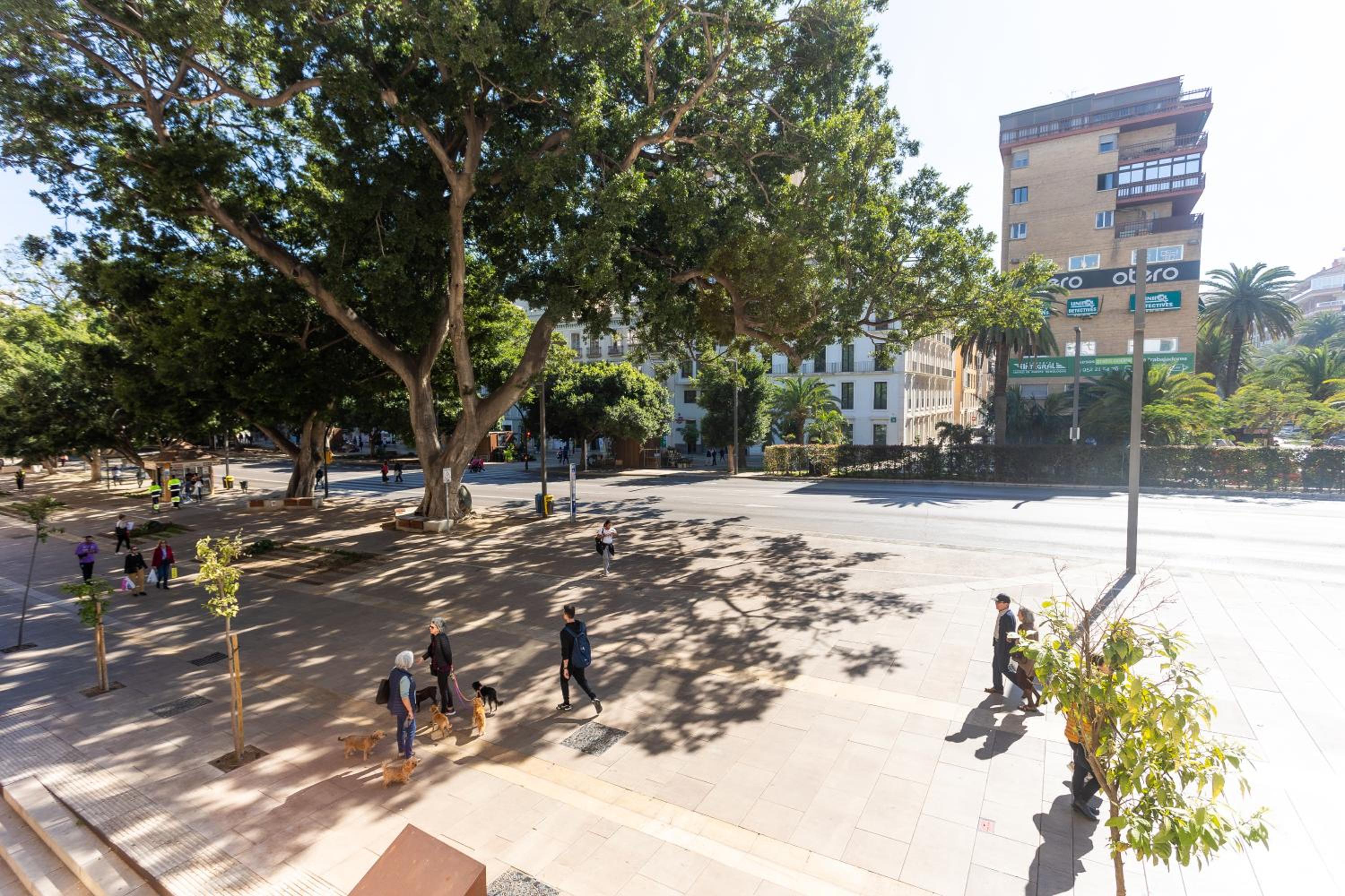 La Casa de la Alameda