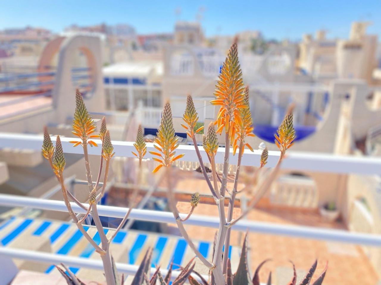 Sea view apartments Dunas de La Mata Torrevieja
