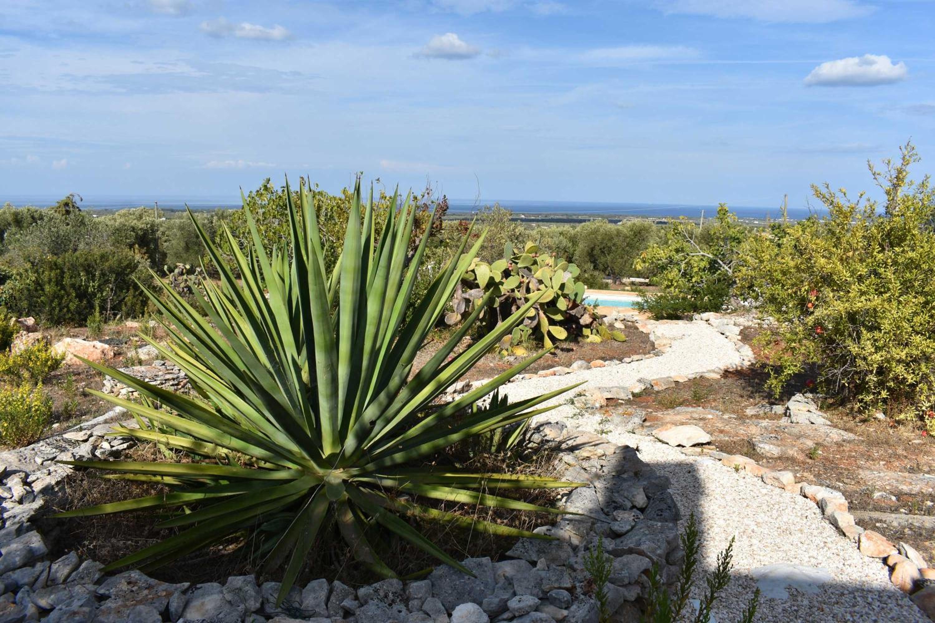 Trullo Bello Sguardo by Perle di Puglia