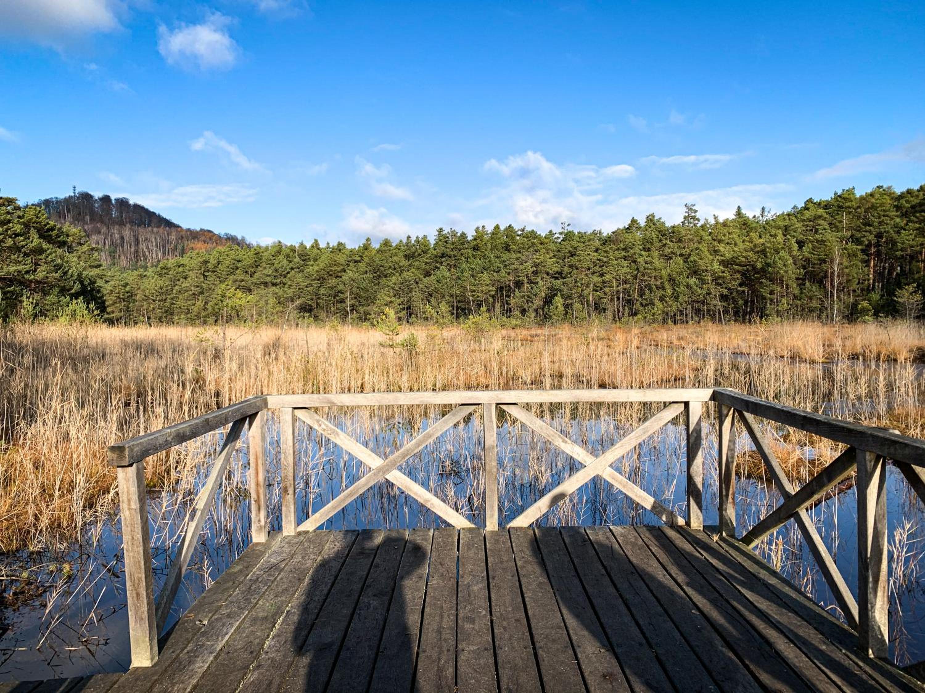 Remote Work Friendly Zahradní apartmán u jezera