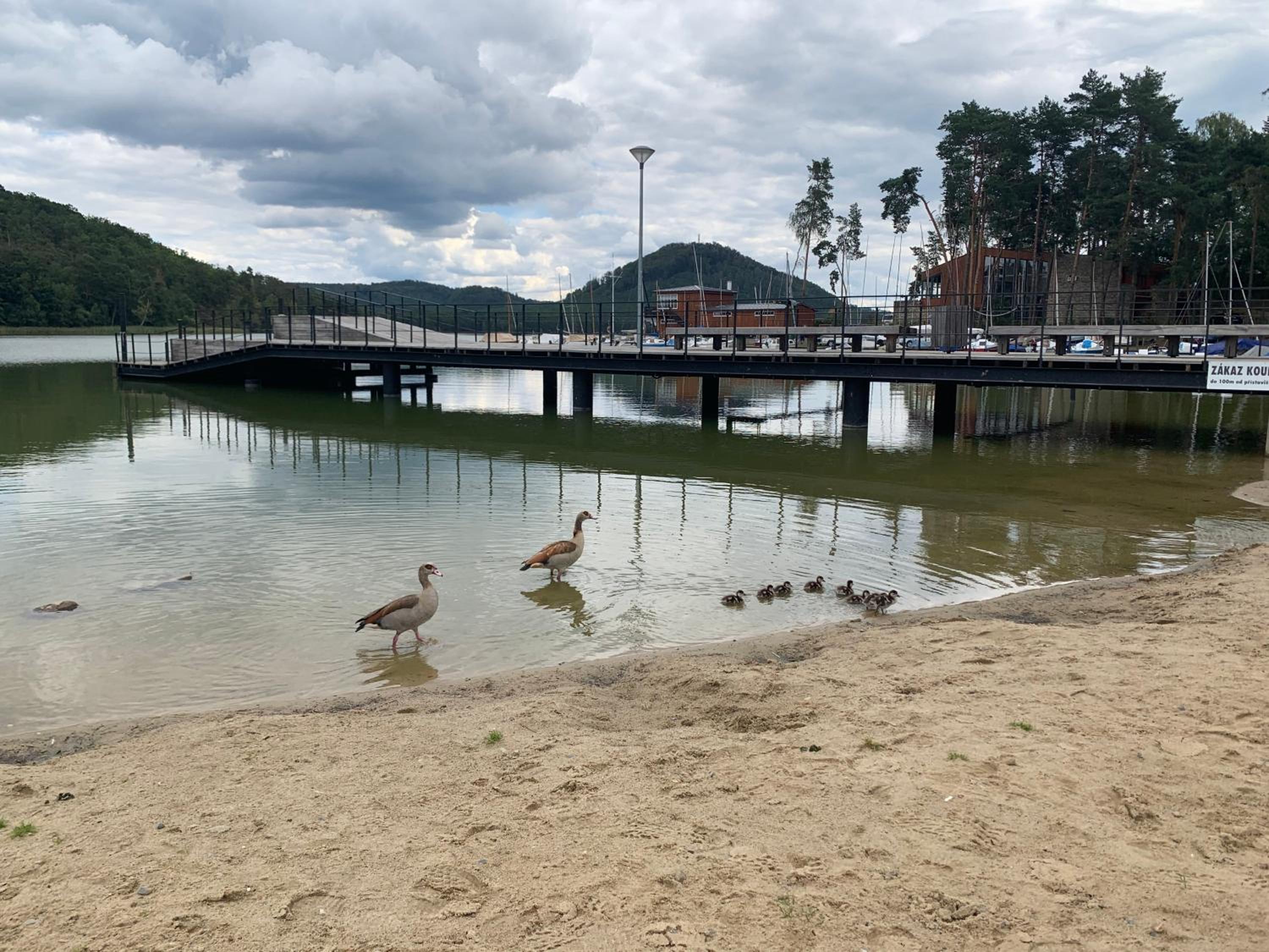Remote Work Friendly Zahradní apartmán u jezera