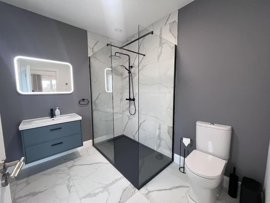 Modern Dunboyne Home