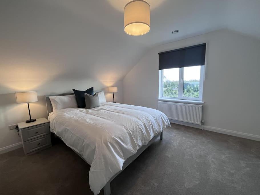 Modern Dunboyne Home