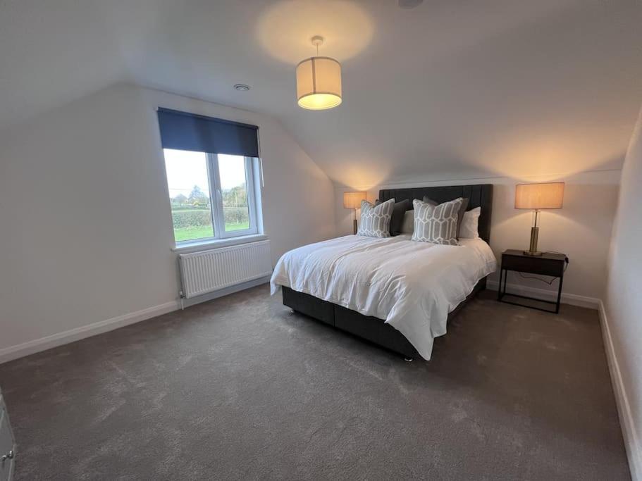 Modern Dunboyne Home