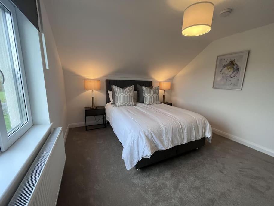 Modern Dunboyne Home