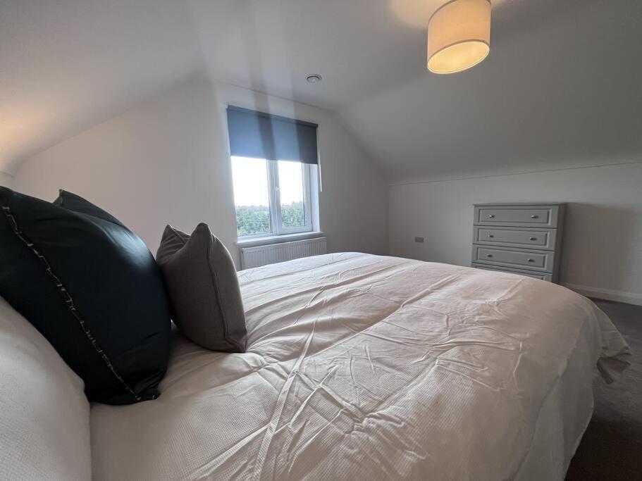 Modern Dunboyne Home