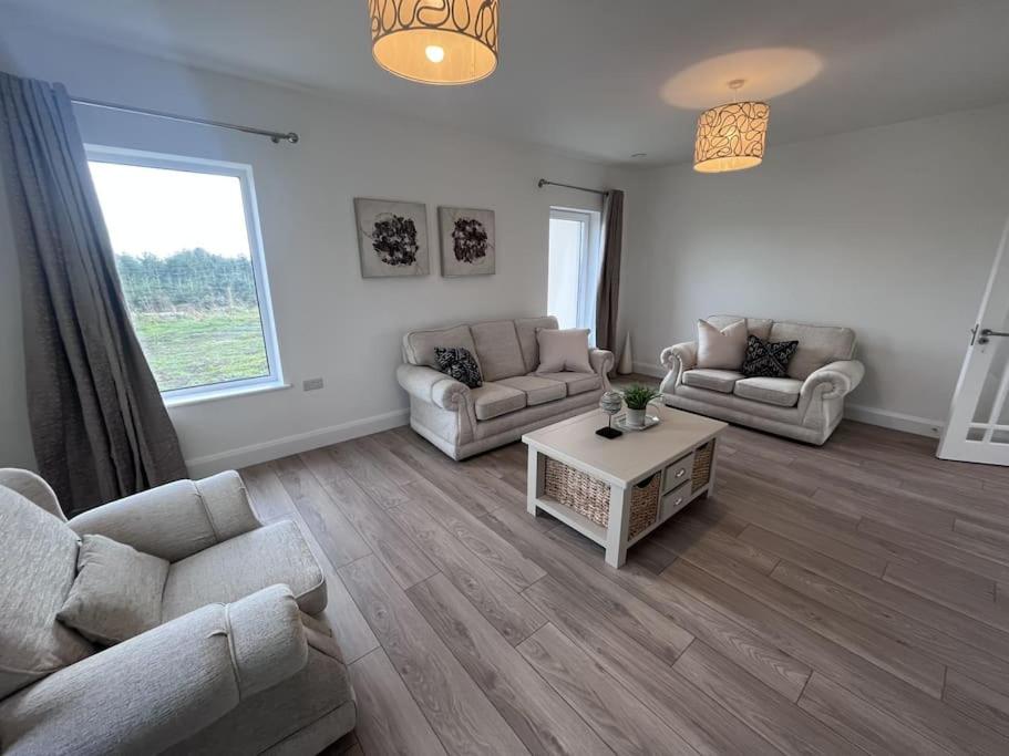 Modern Dunboyne Home
