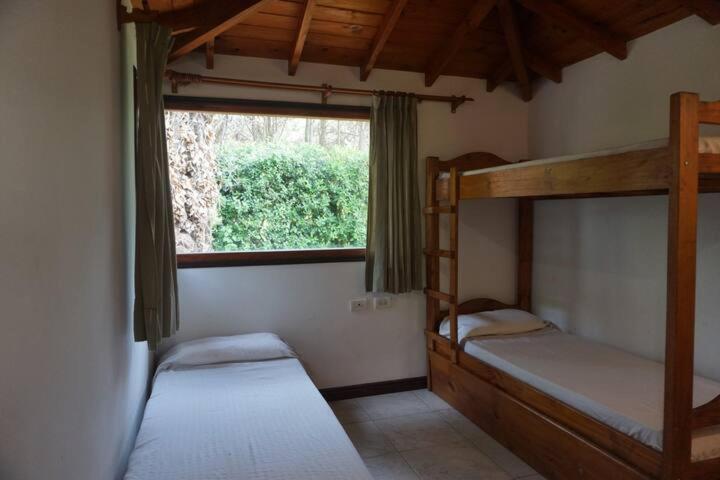 Lambertianas Casa Terry