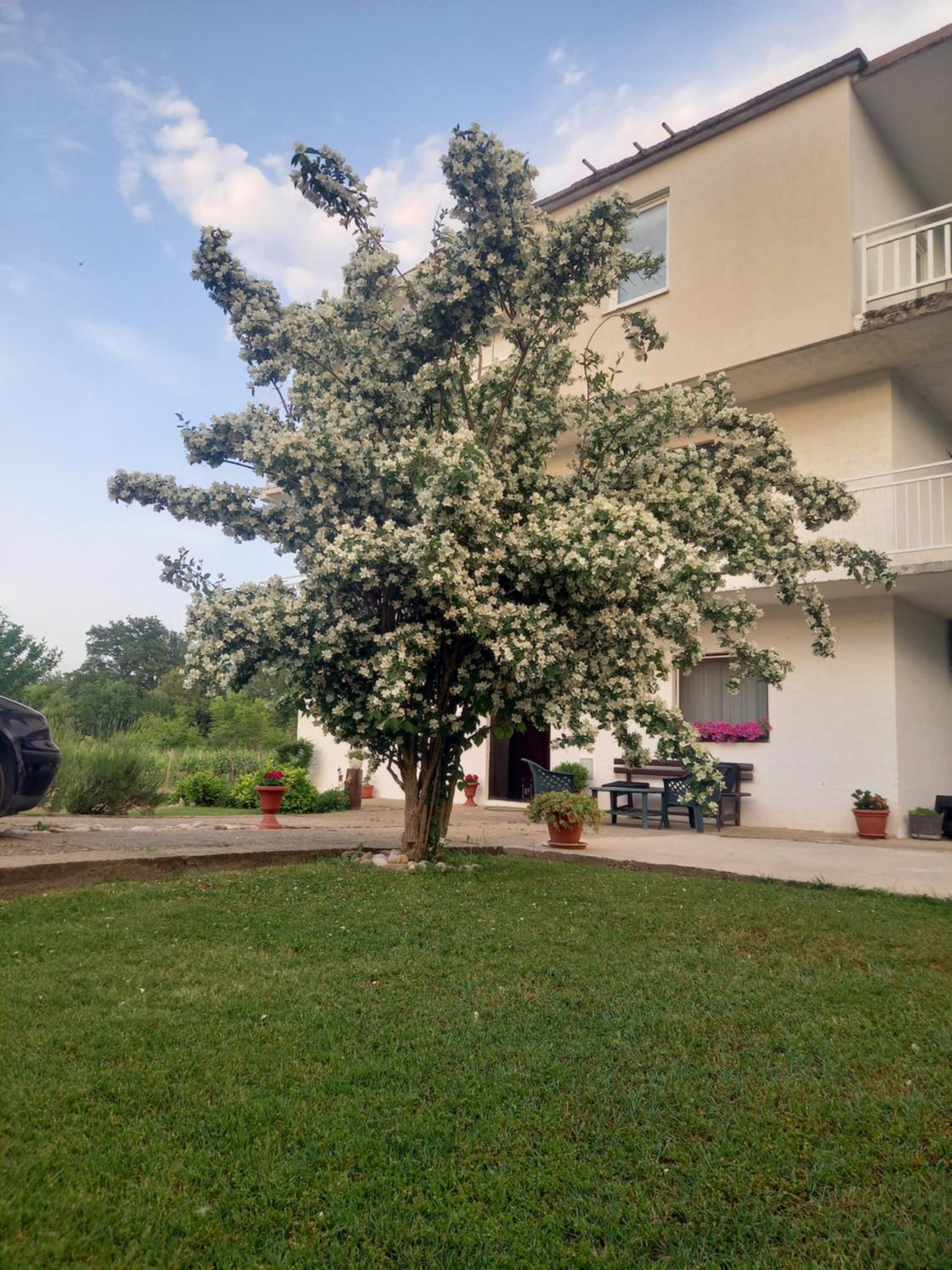 Janja Medjugorje