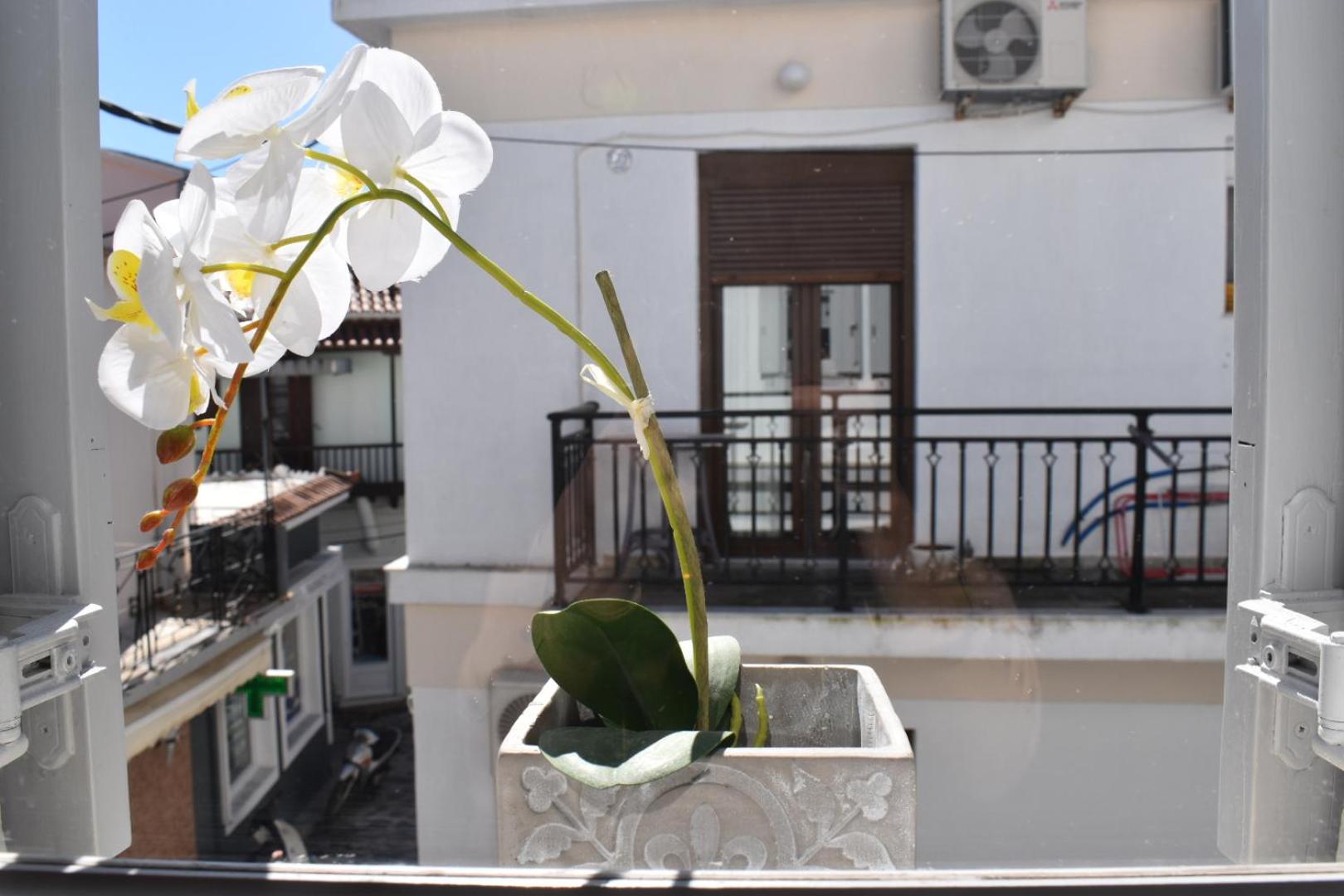 Pandora apartment