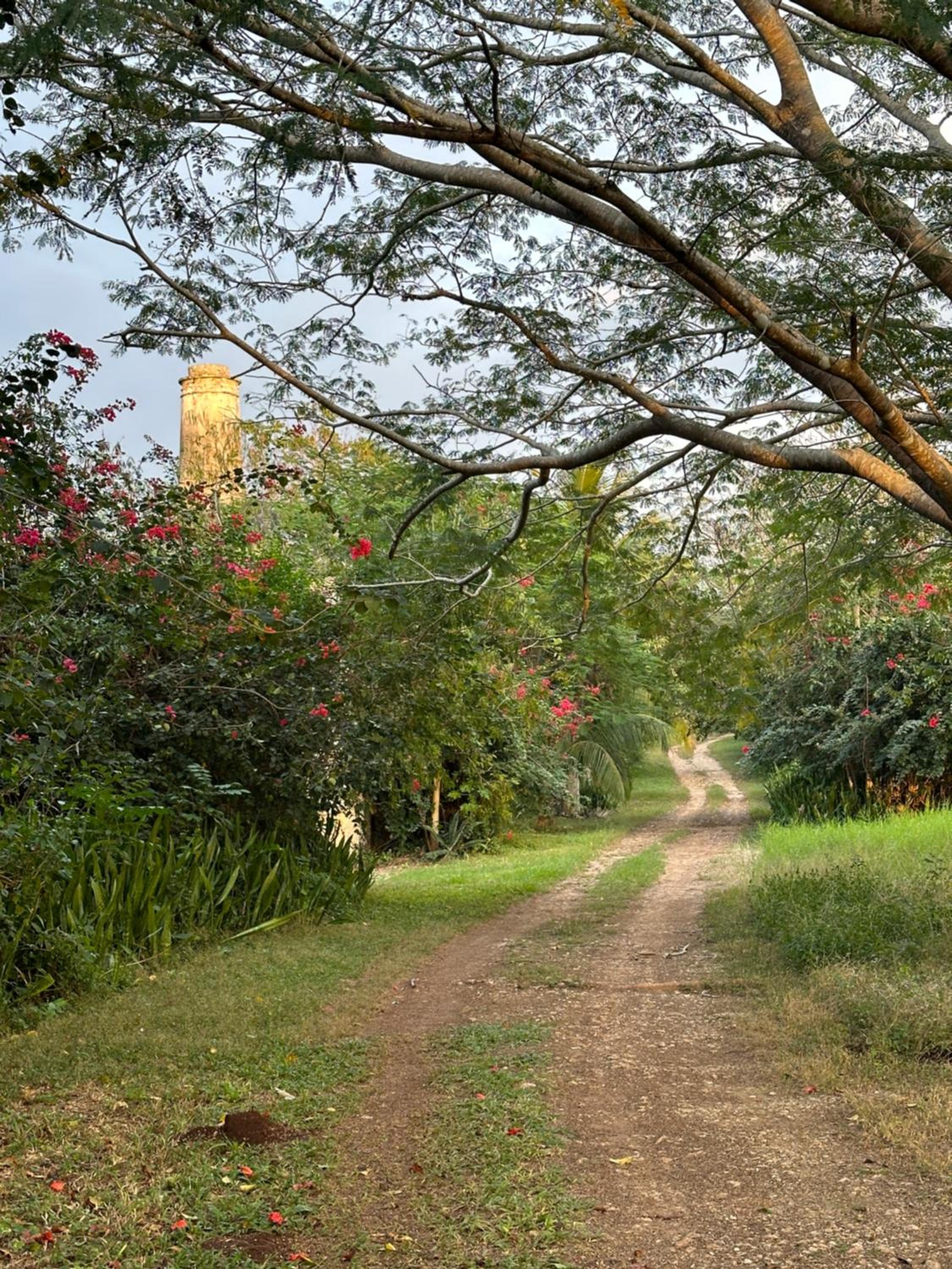 Hacienda Guesthouse with Private Cenote