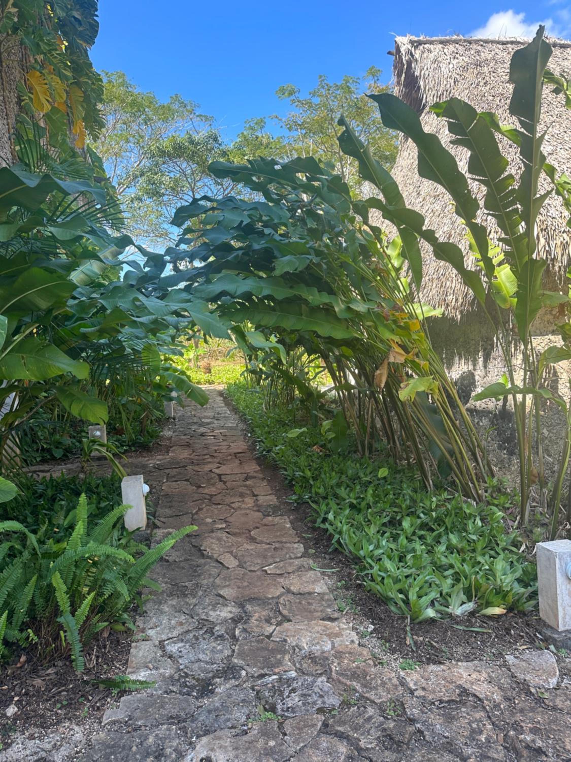 Hacienda Guesthouse with Private Cenote