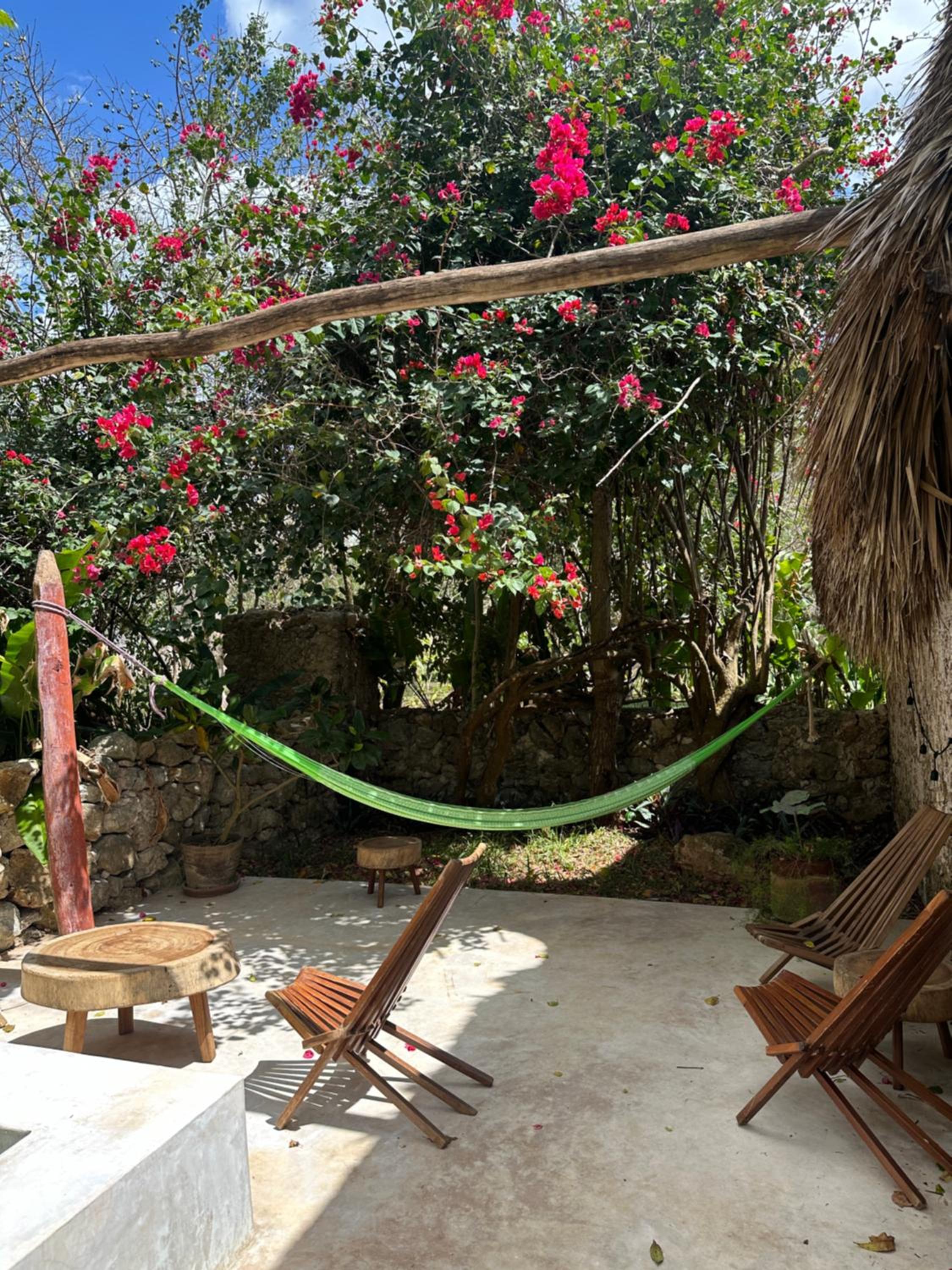 Hacienda Guesthouse with Private Cenote