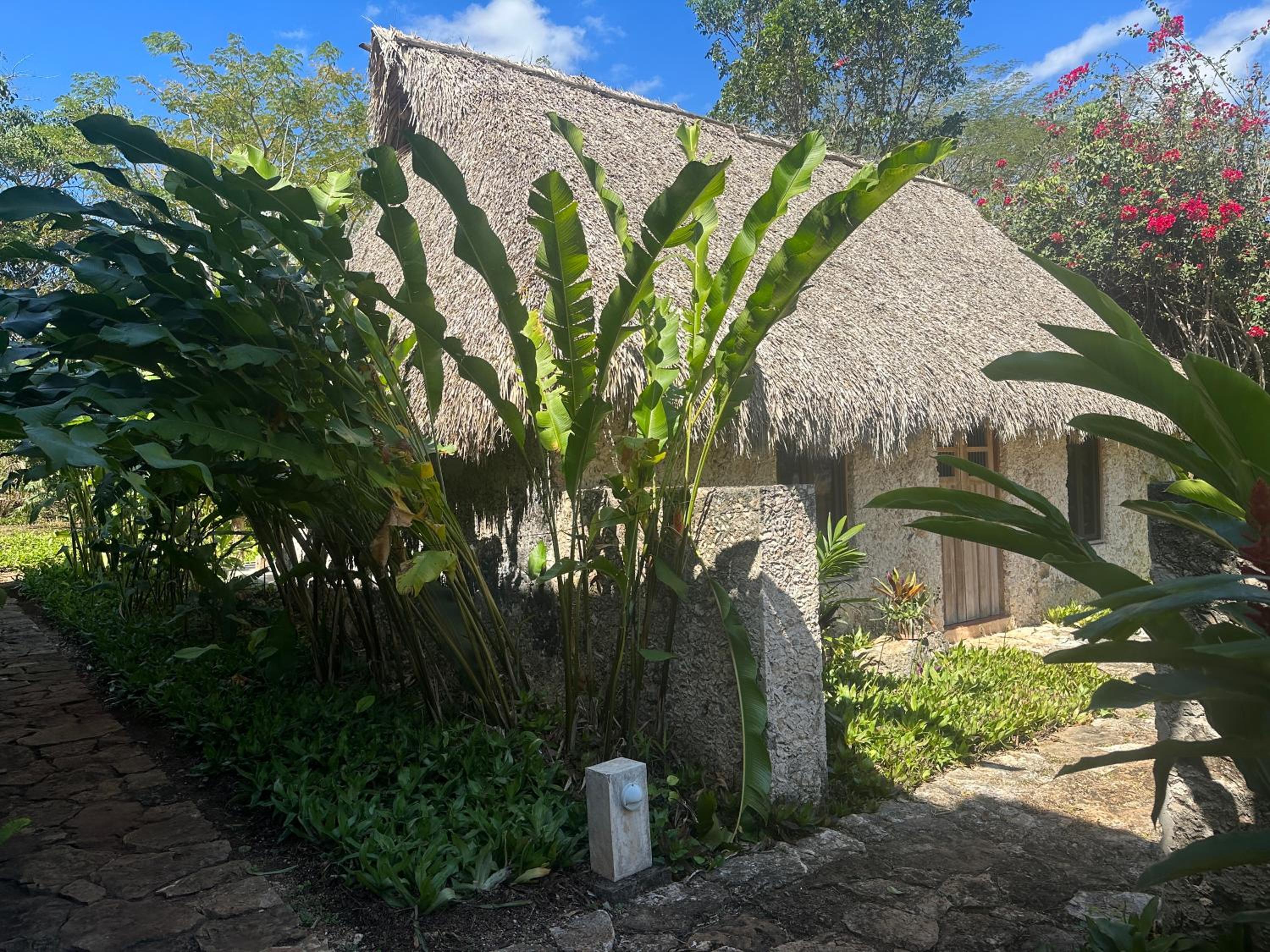 Hacienda Guesthouse with Private Cenote