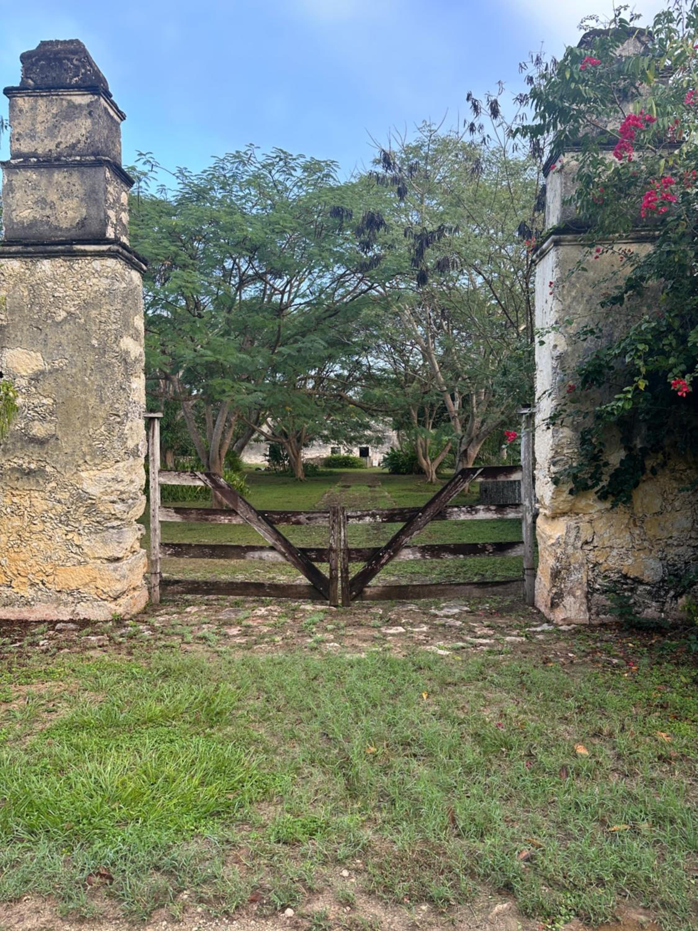 Hacienda Guesthouse with Private Cenote