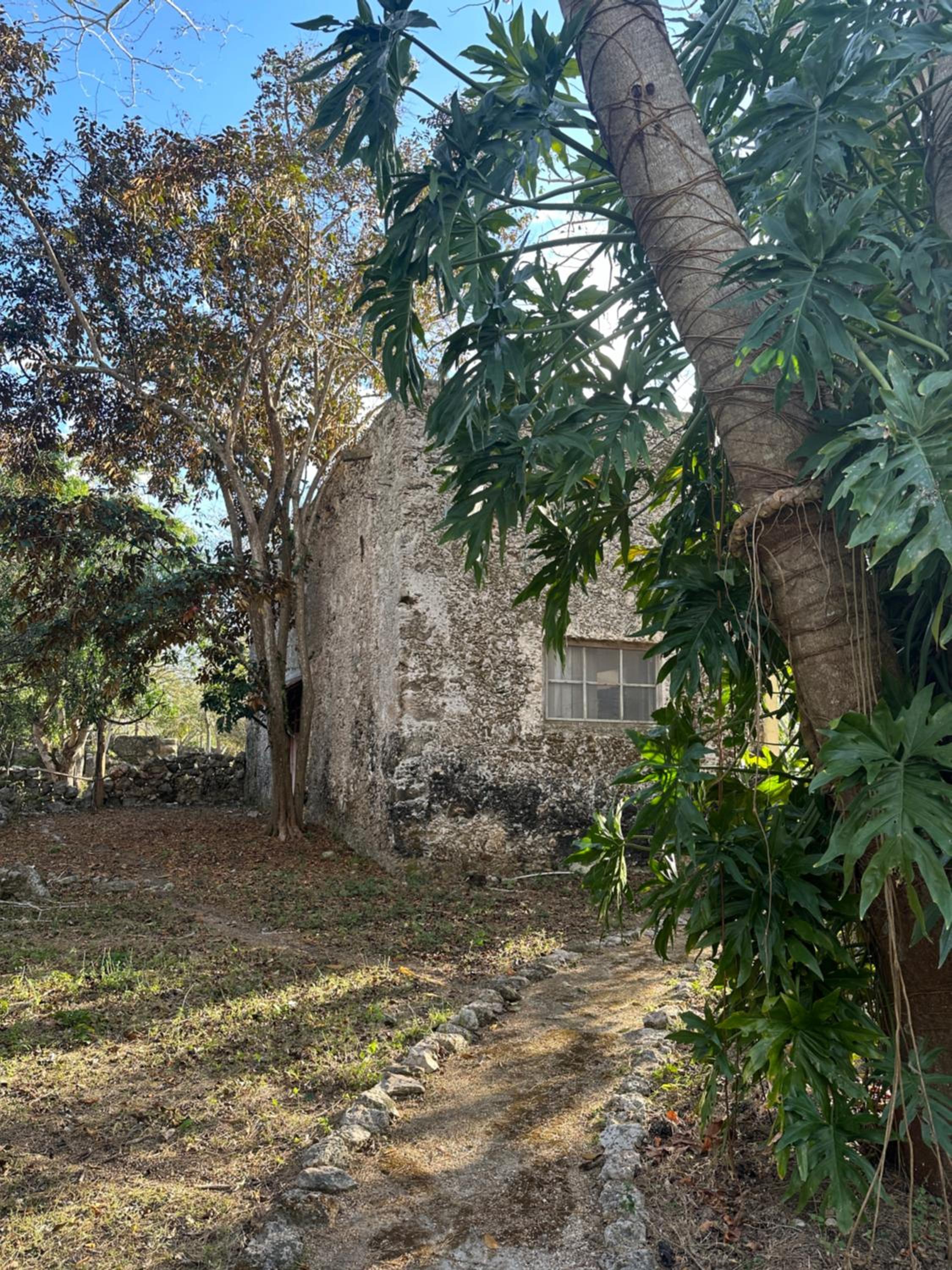 Hacienda Guesthouse with Private Cenote