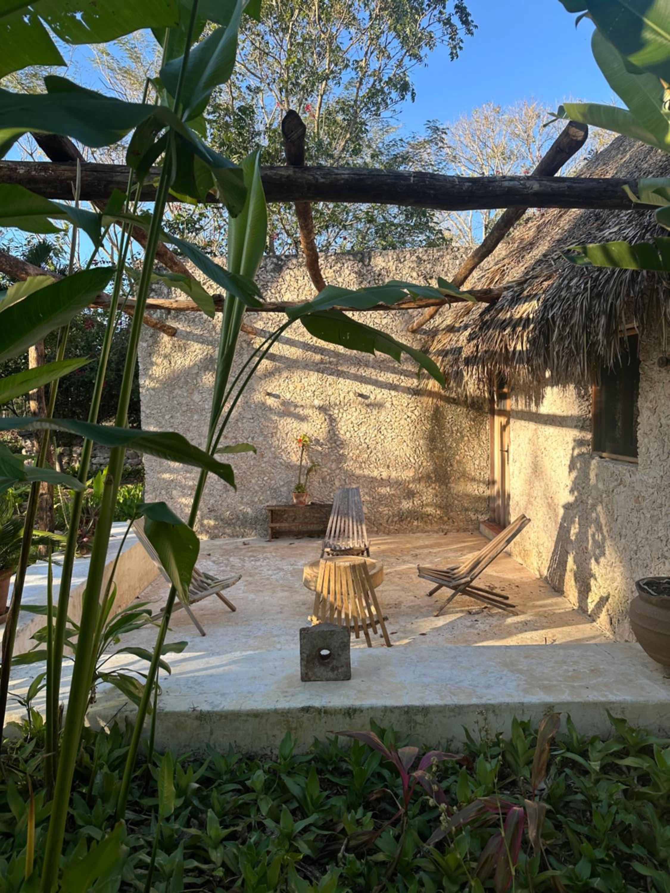 Hacienda Guesthouse with Private Cenote