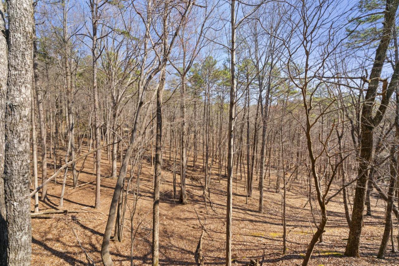 New Listing Forest Footprints in Big Canoe view 5