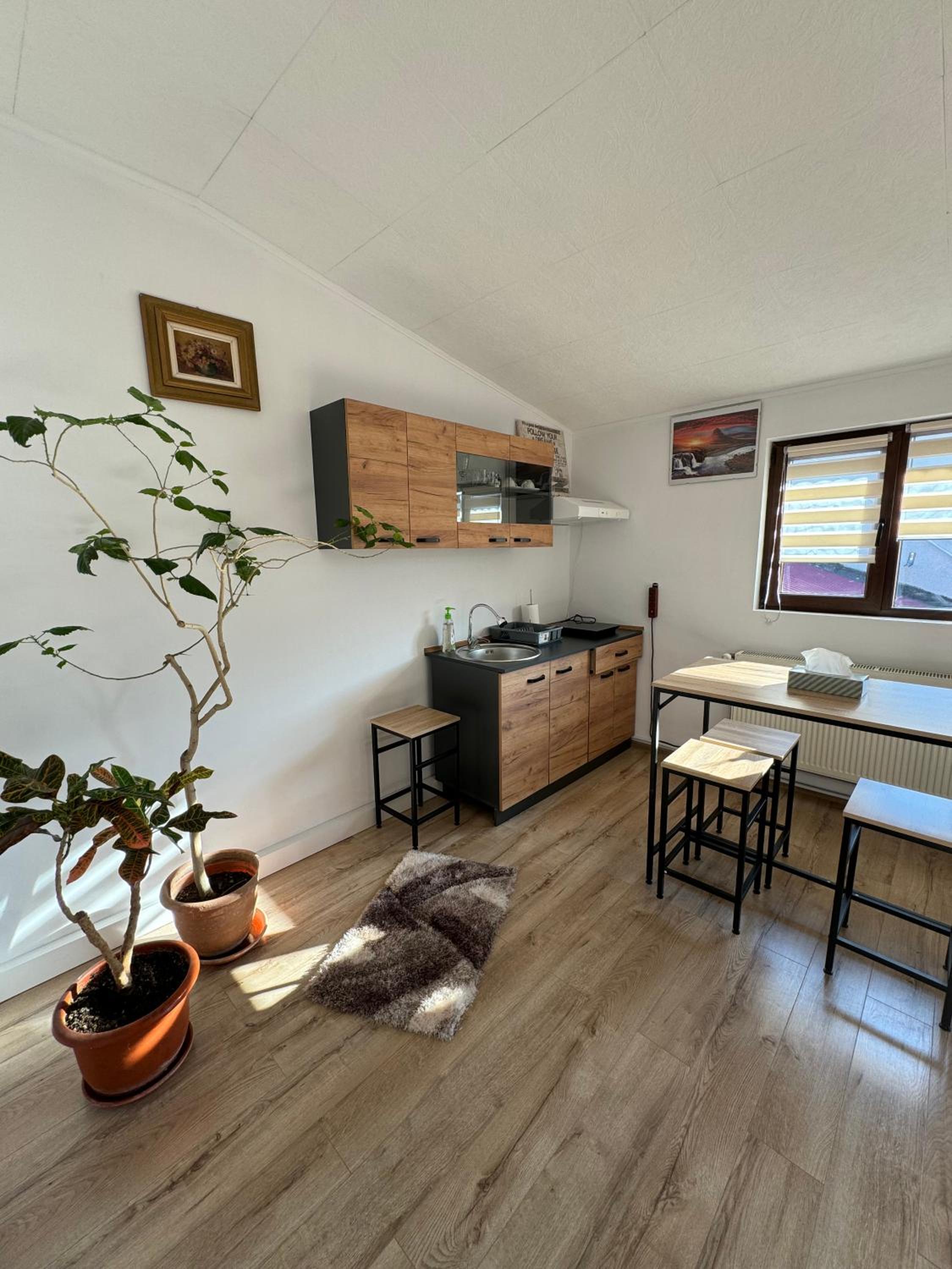 Victor Residence 38