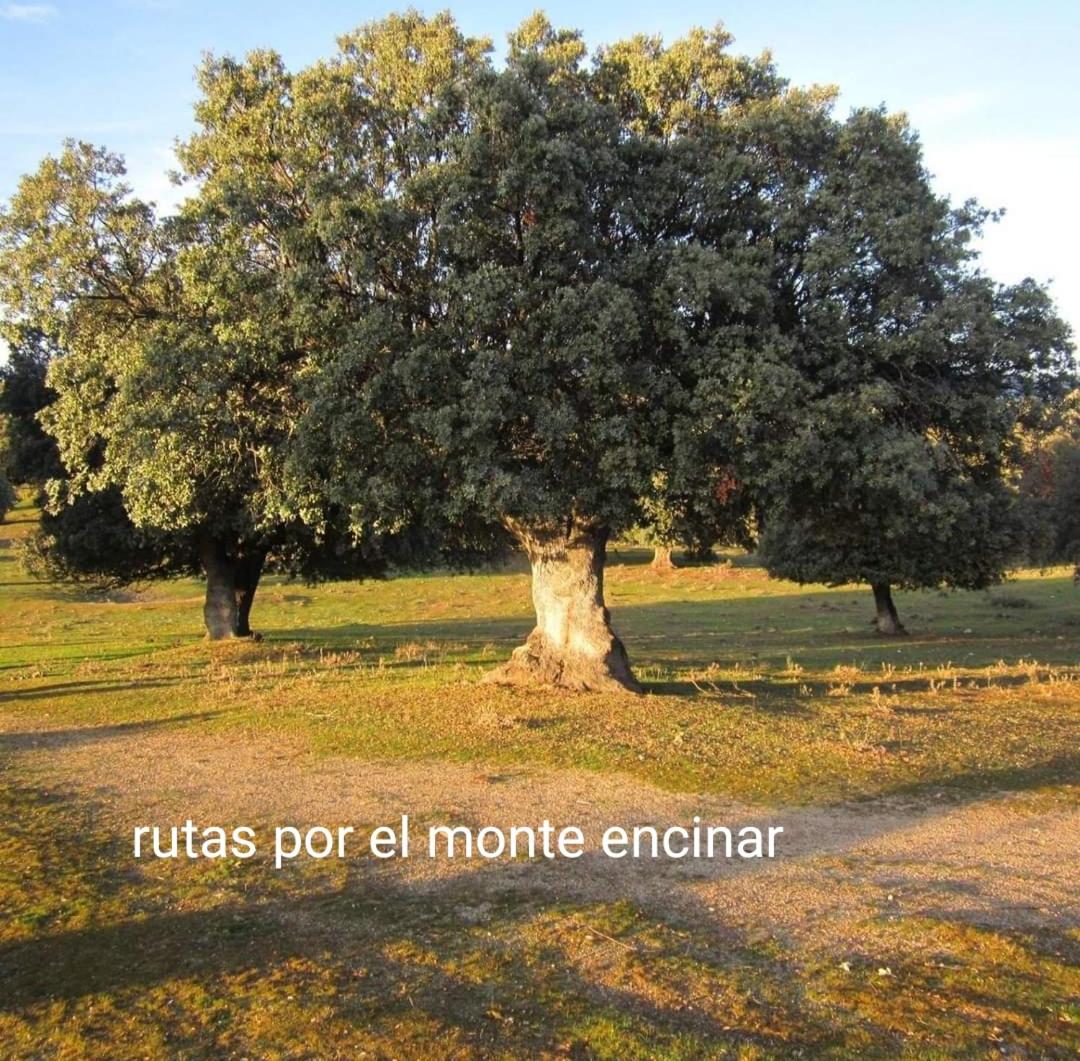 Chalet Pinara
