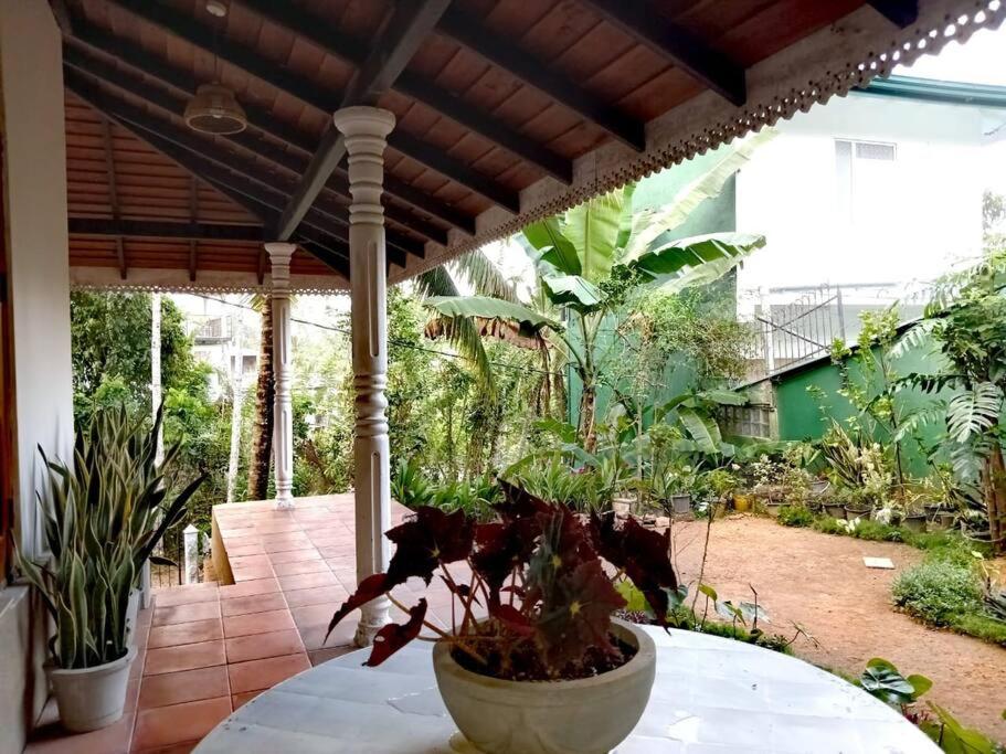 Natural Cottage Galle
