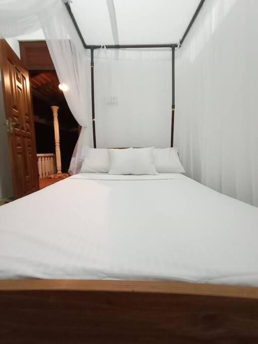 Natural Cottage Galle