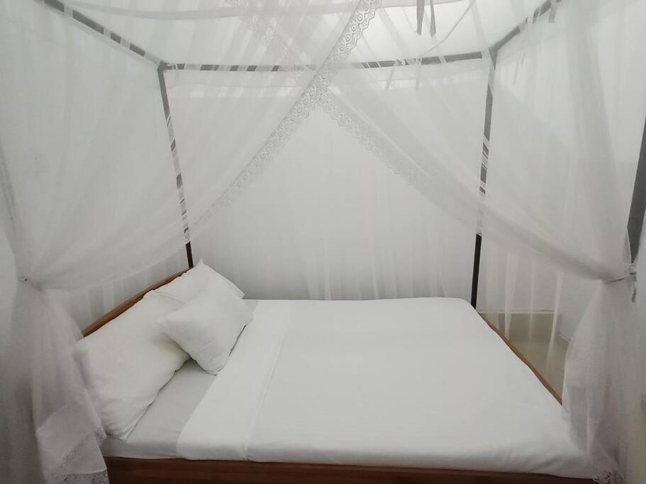 Natural Cottage Galle