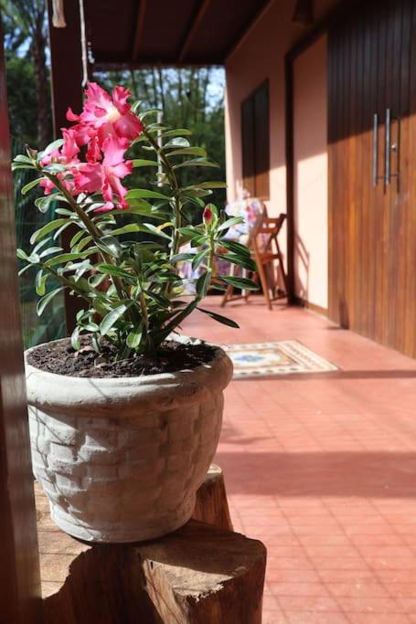 Casa Amadou com grande piscina em Boipeba