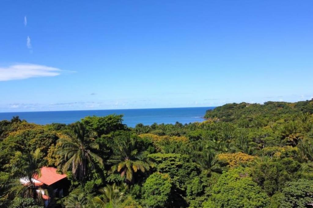 Casa Amadou com grande piscina em Boipeba