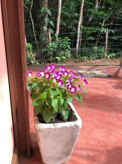 Casa Amadou com grande piscina em Boipeba