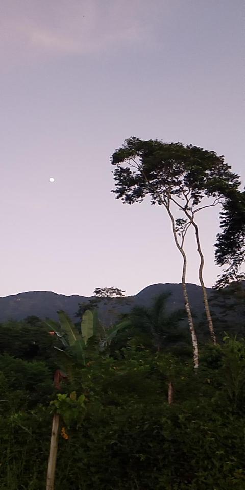 O Canto da Rosa Quarto Quádruplo