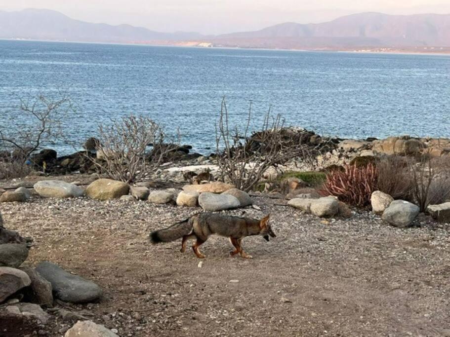 La casa del Mar en Guanaqueros!