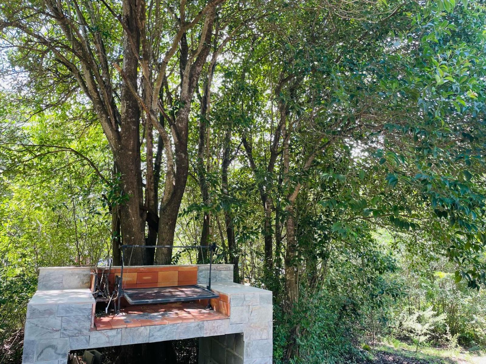 La Casita del Puma