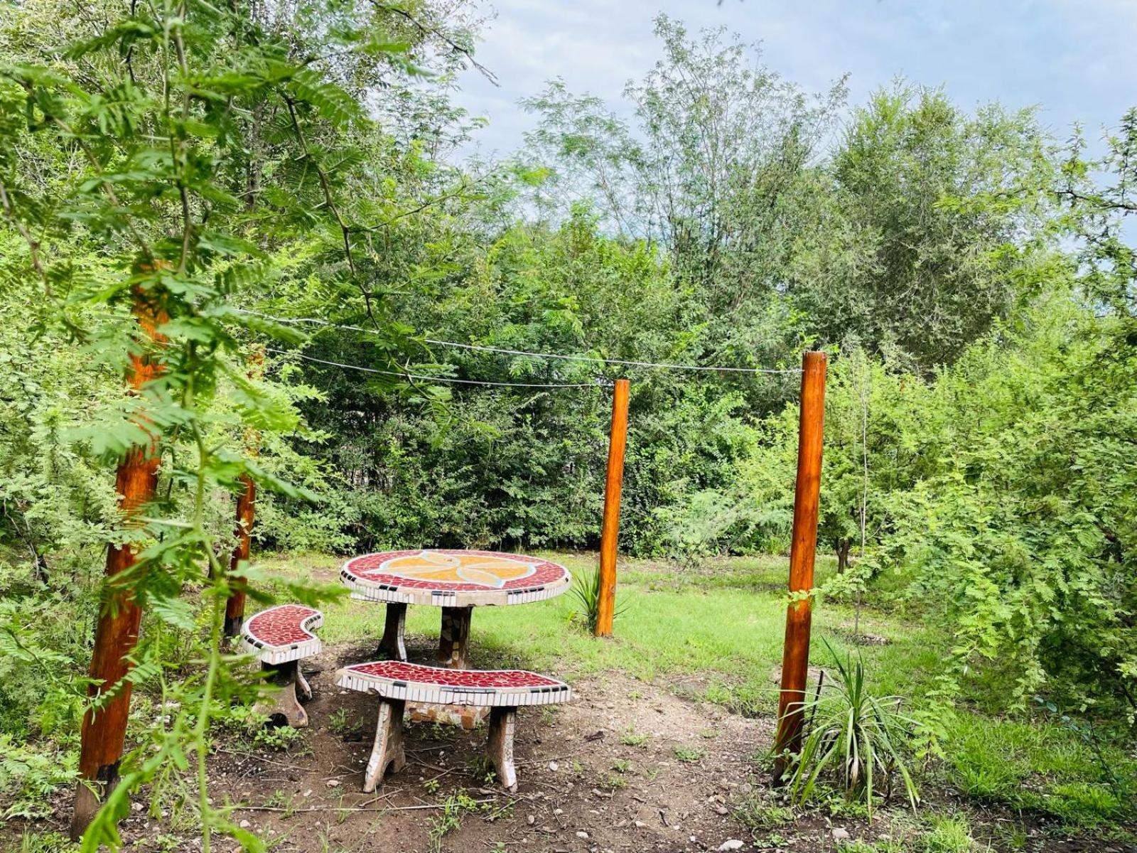 La Casita del Puma