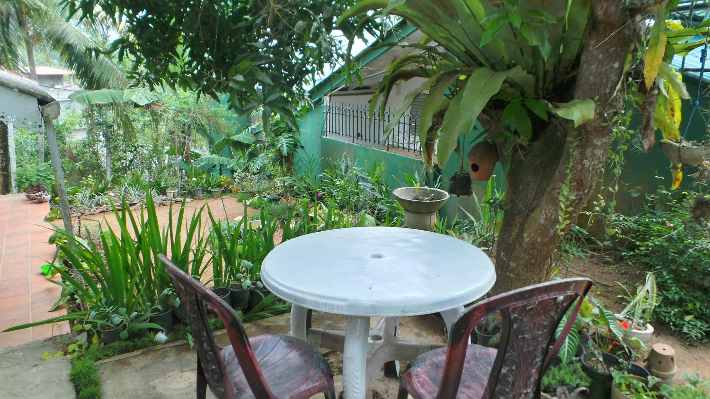 Natural Cottage Galle