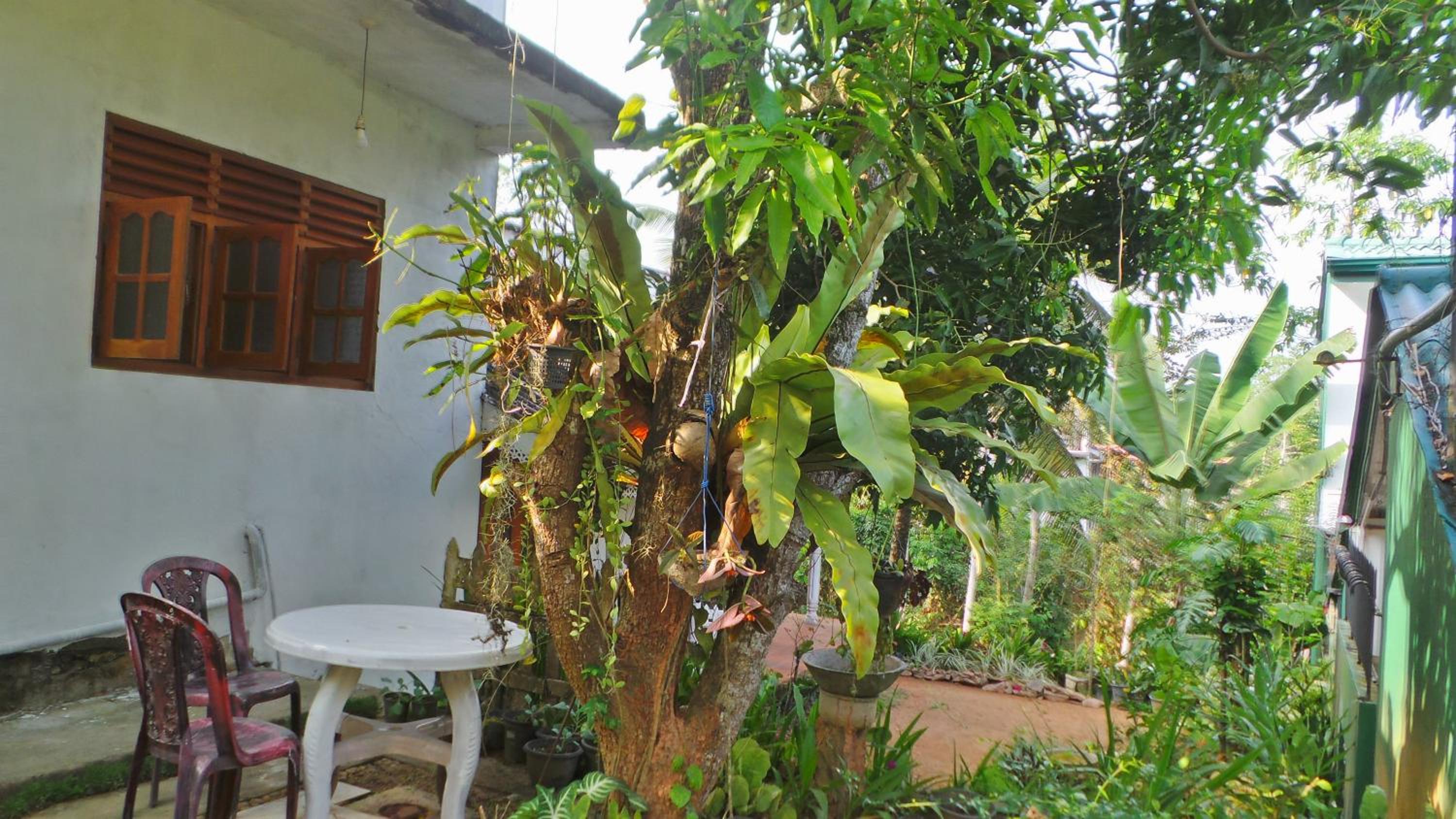 Natural Cottage Galle