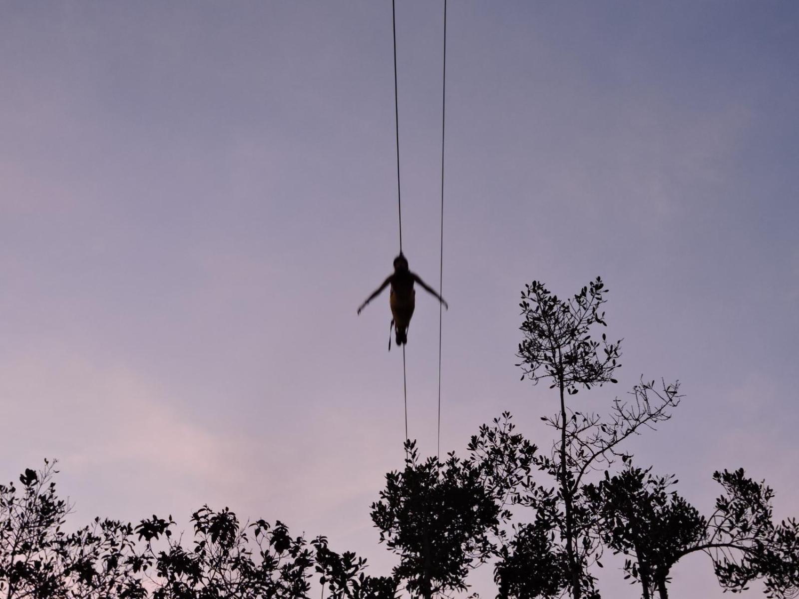 Eco-Cabanas Altozano Nimaima - Property Image 12