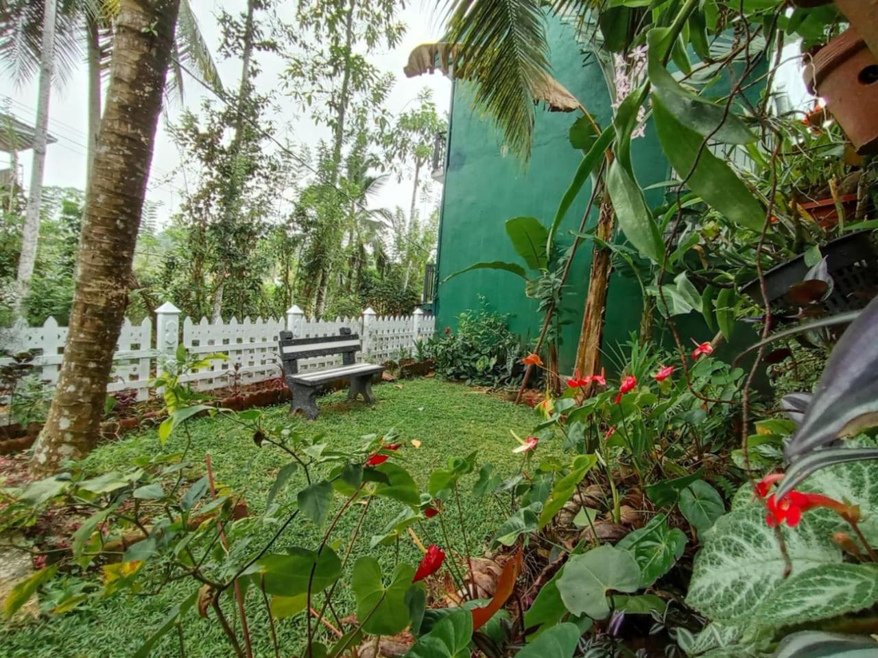 Natural Cottage Galle