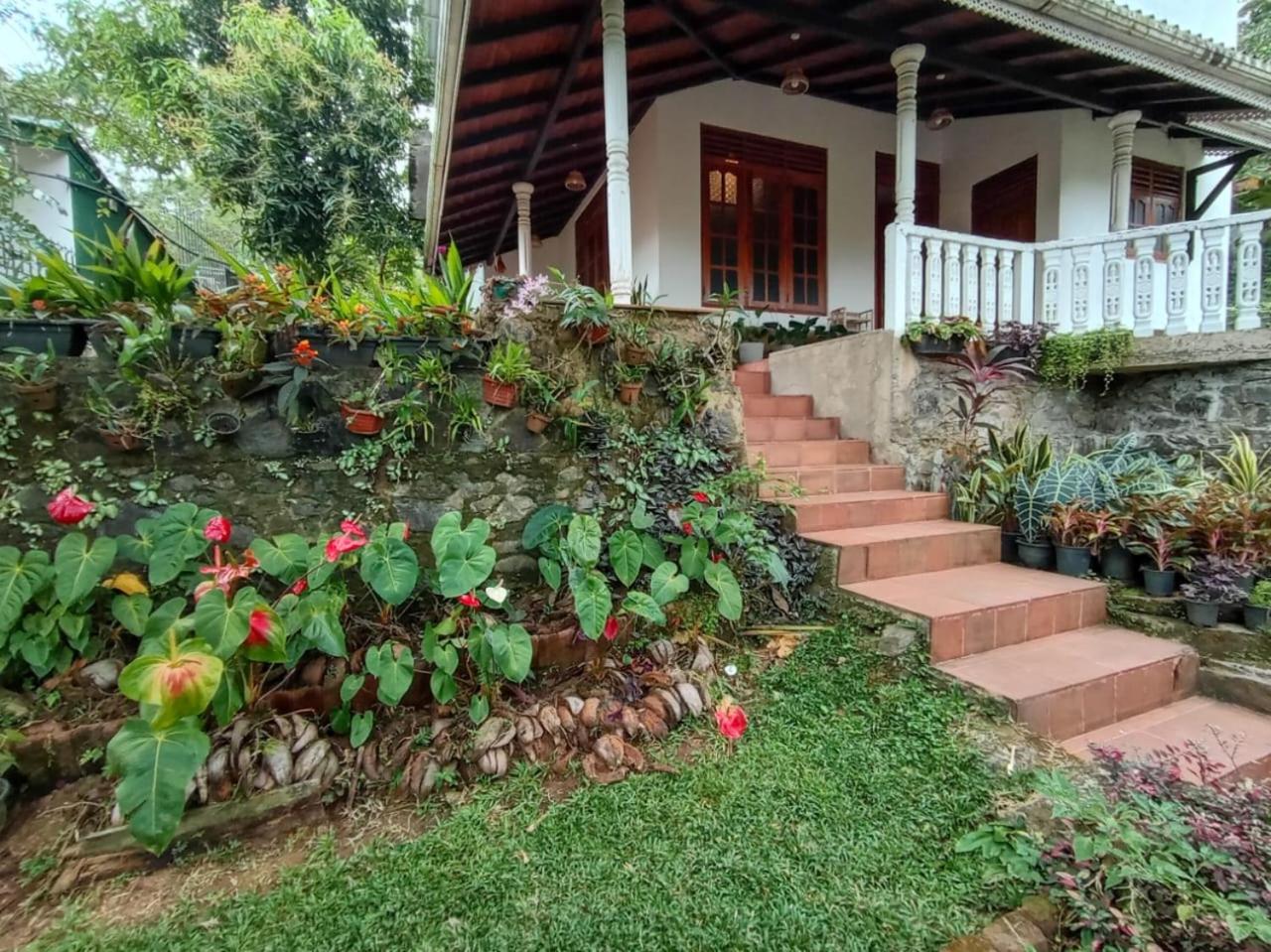 Natural Cottage Galle