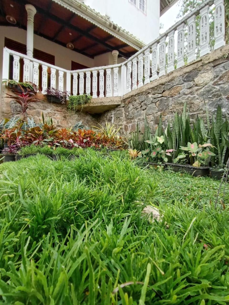 Natural Cottage Galle