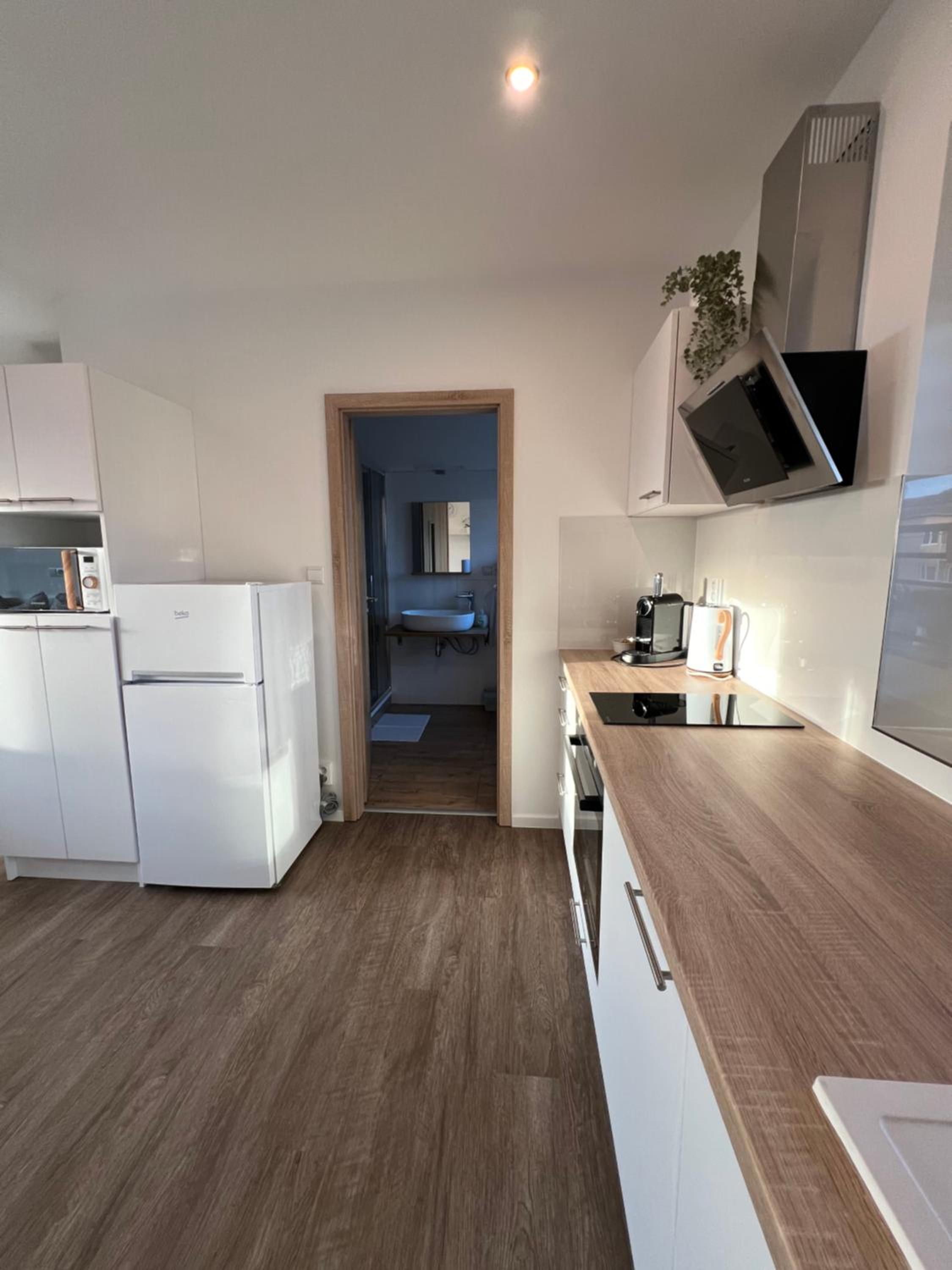 RK Apartment Holzova