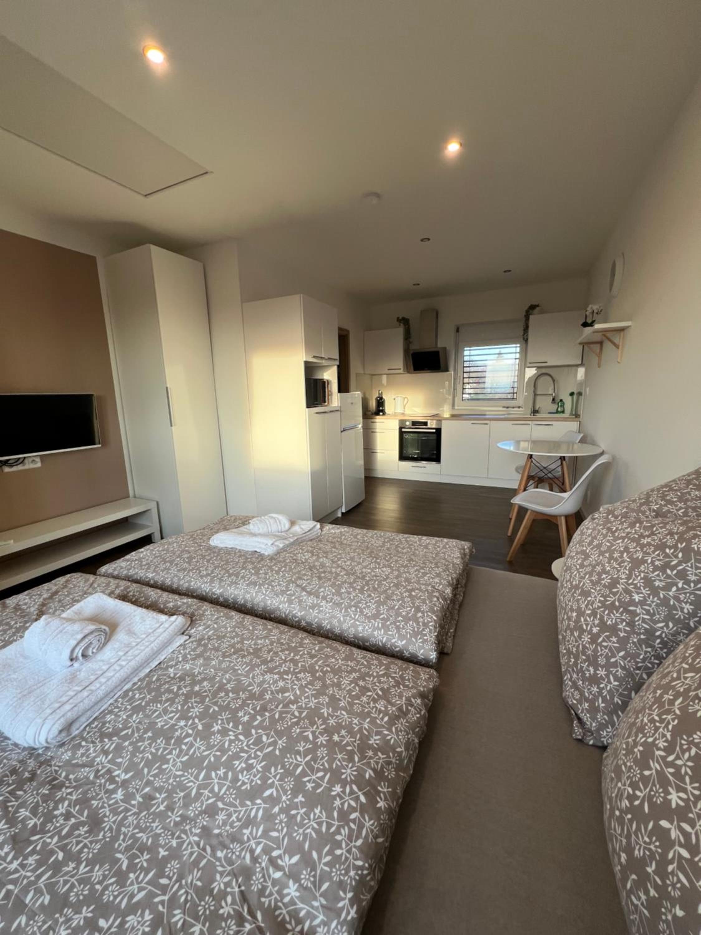 RK Apartment Holzova
