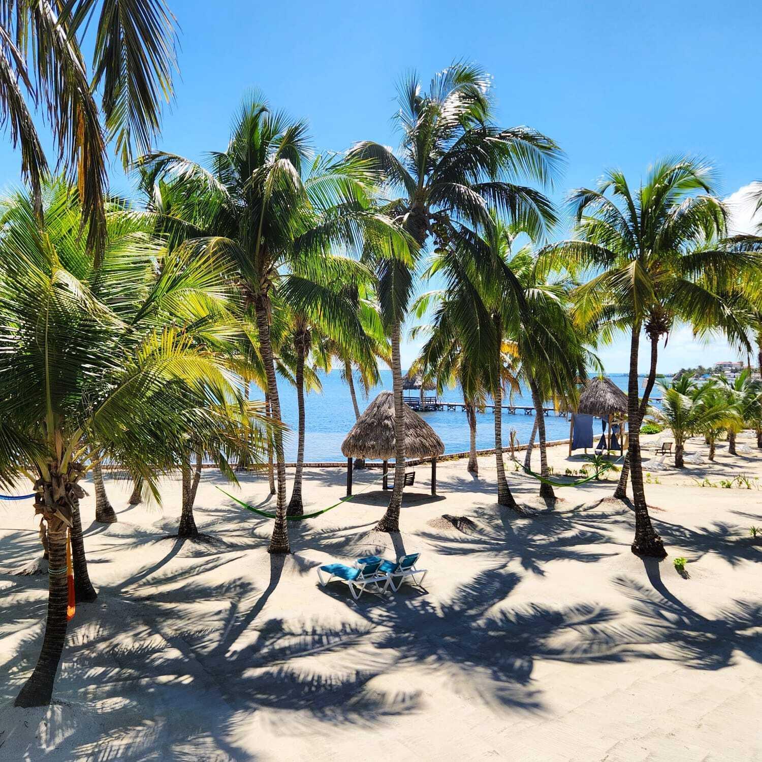 Dolphin Dreams Villa B3