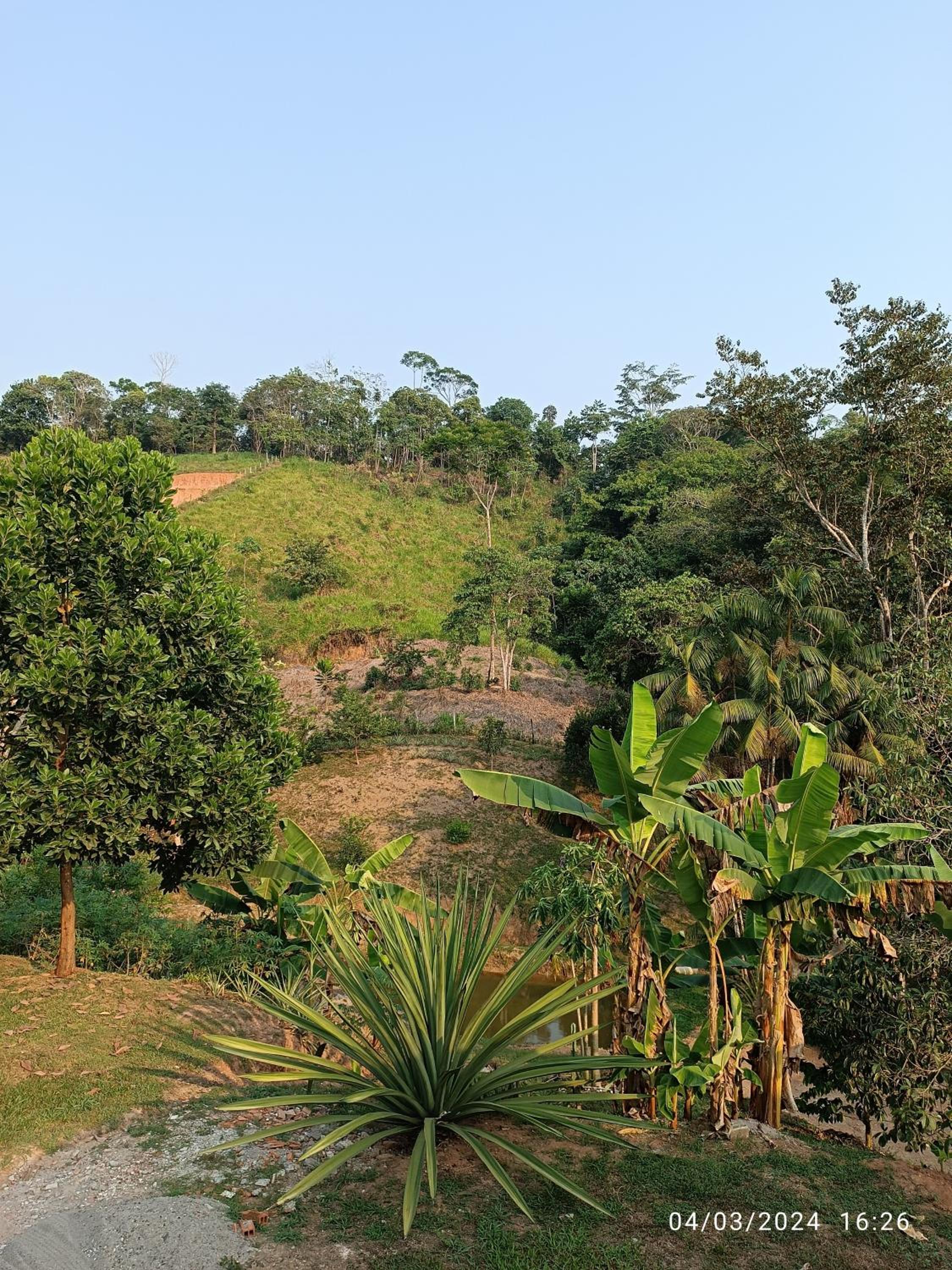La ceiba casa campestre