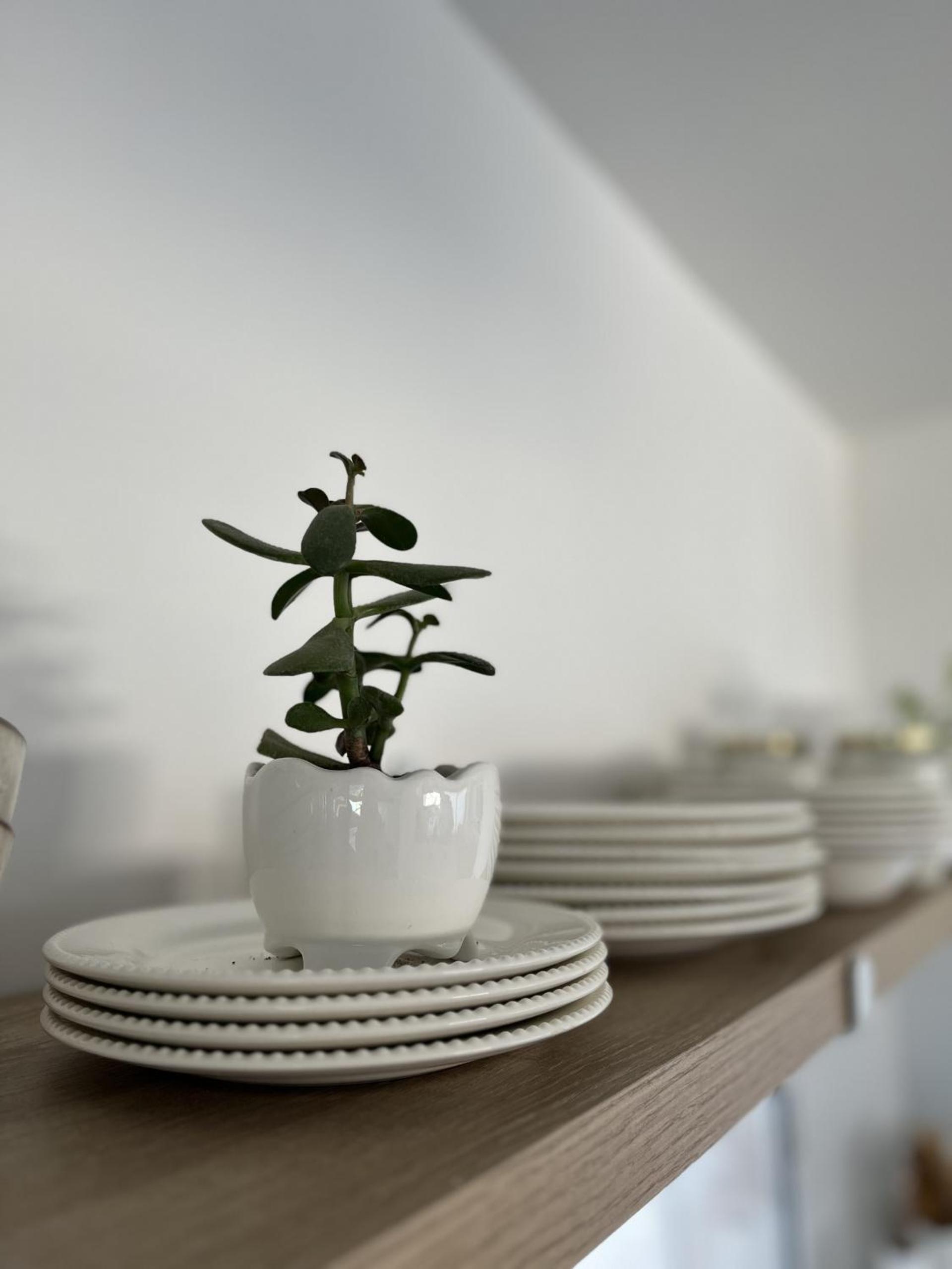 Casa Coco - Casa Zona Faro Para 5 PAX a 3 Cuadras del Mar - Hola sur