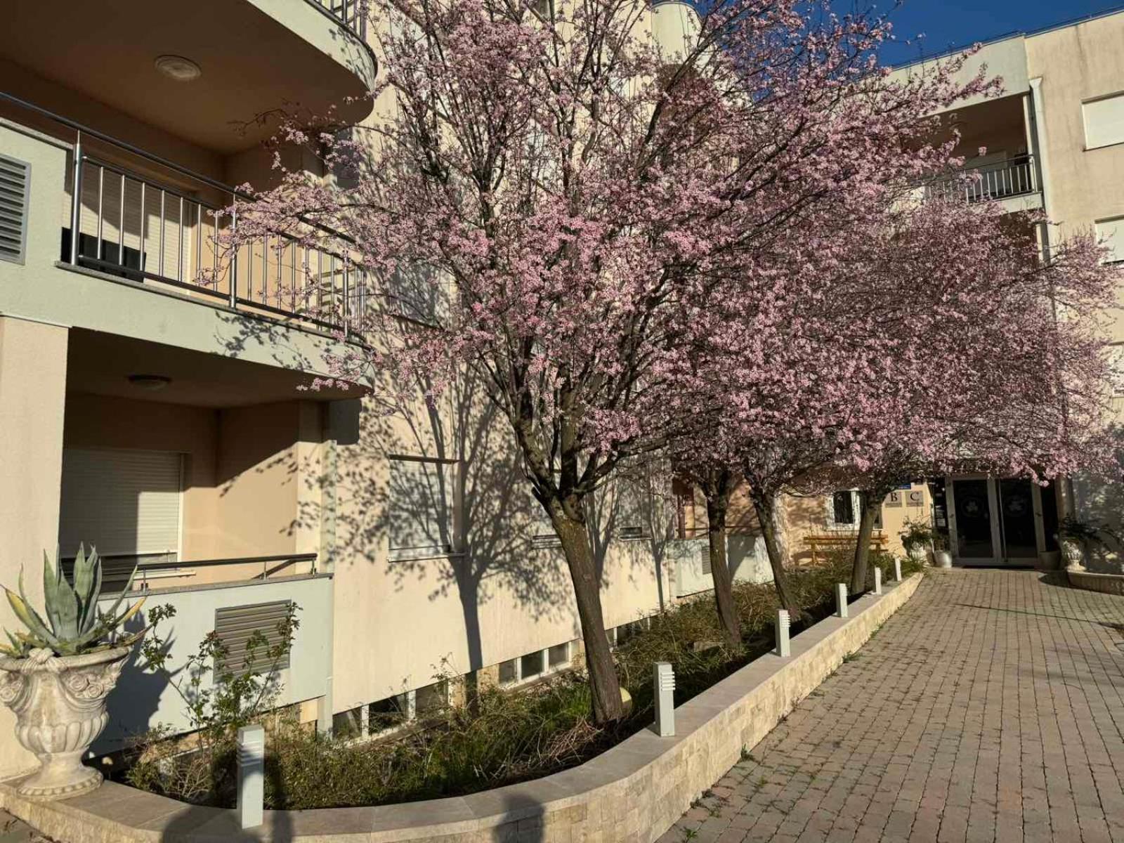 Apartman Pax Plena Međugorje