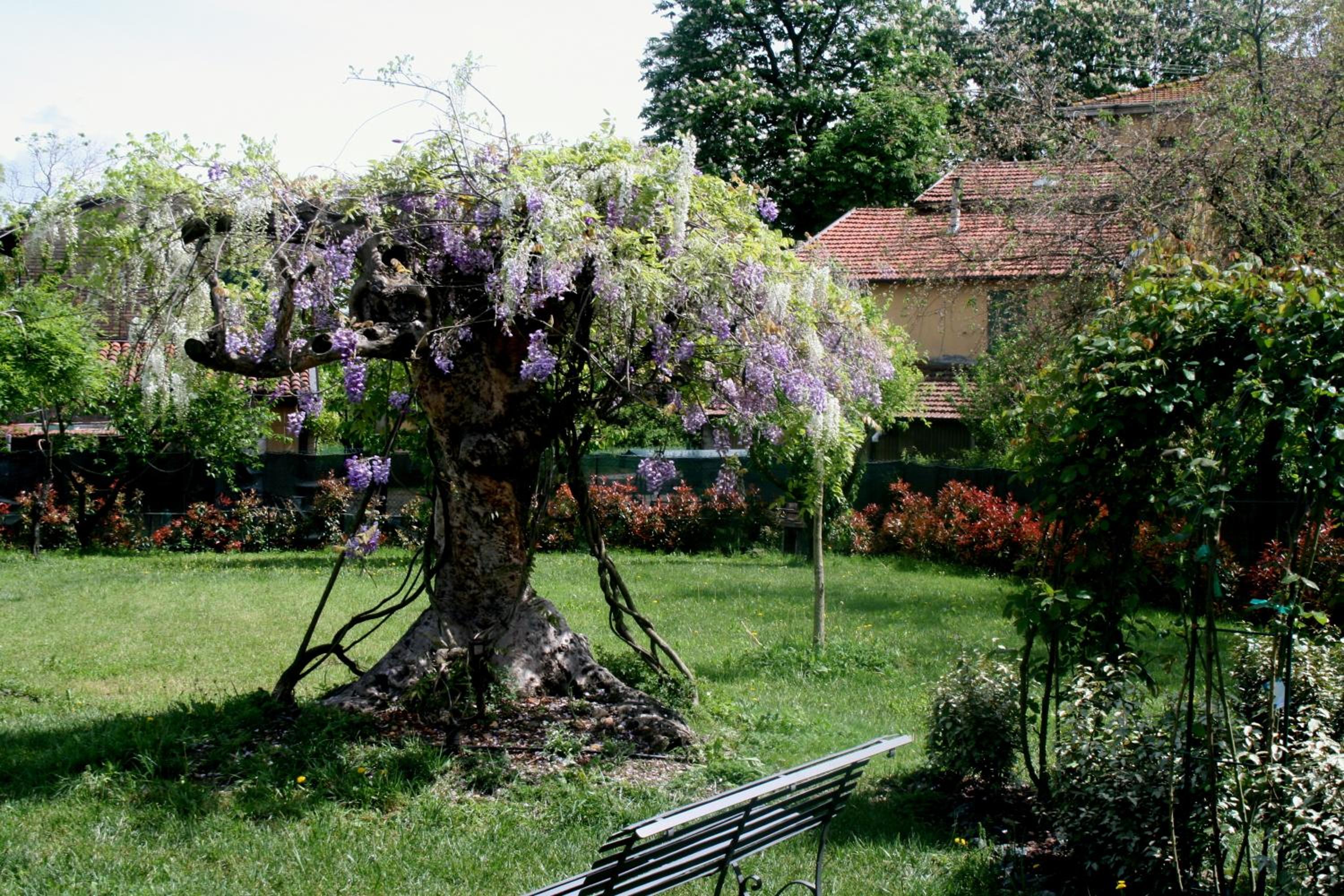 Agriturismo Argaland