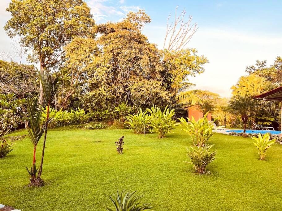 Casa Papaya
